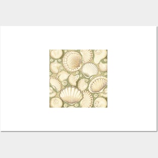 Olive green vintage seashells Posters and Art